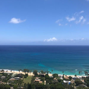 Meet your Posher, Zoe